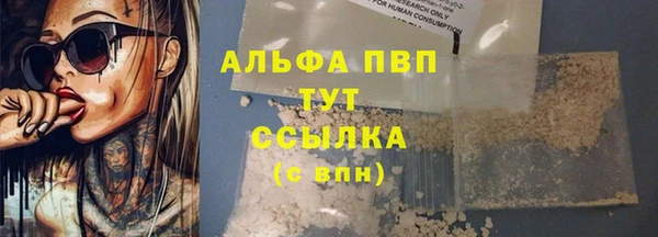 стаф Богданович