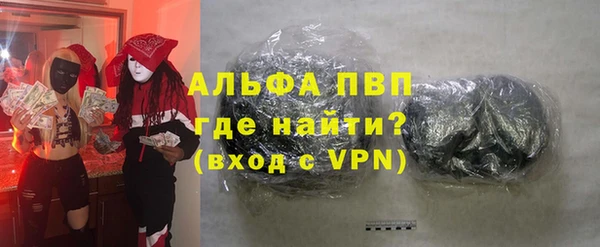 стаф Богданович