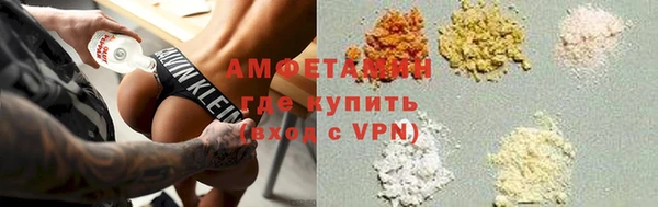 стаф Богданович