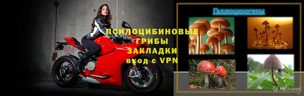 дживик Бронницы