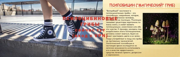 стаф Богданович