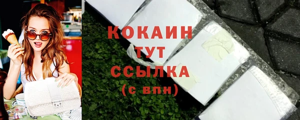 стаф Богданович