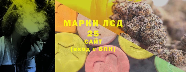 твердый Богородск