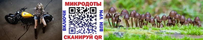 Псилоцибиновые грибы Magic Shrooms  Купить закладки  Лениногорск 